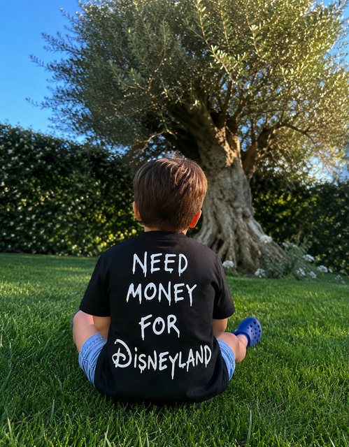 T-Shirt Need Money for Disneyland
